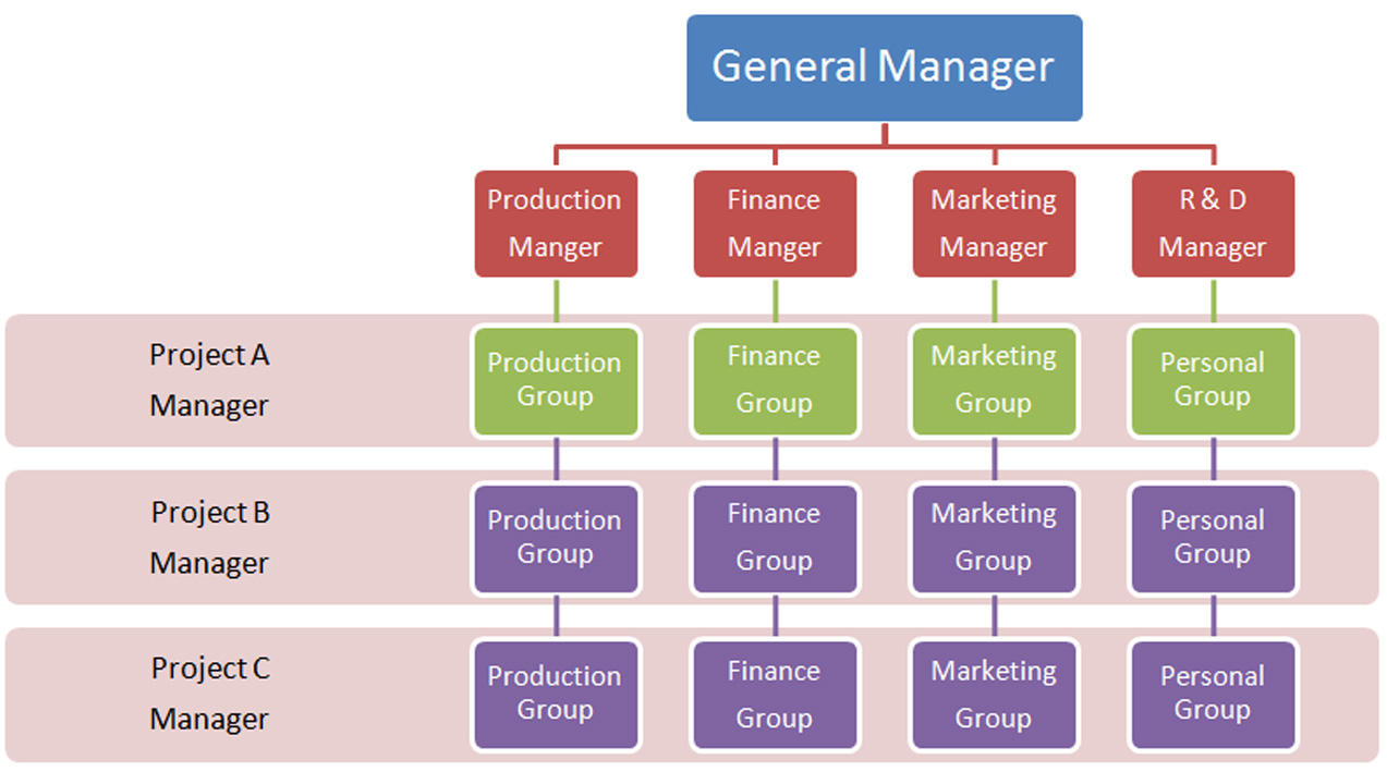 Matrix organizational structure diagram